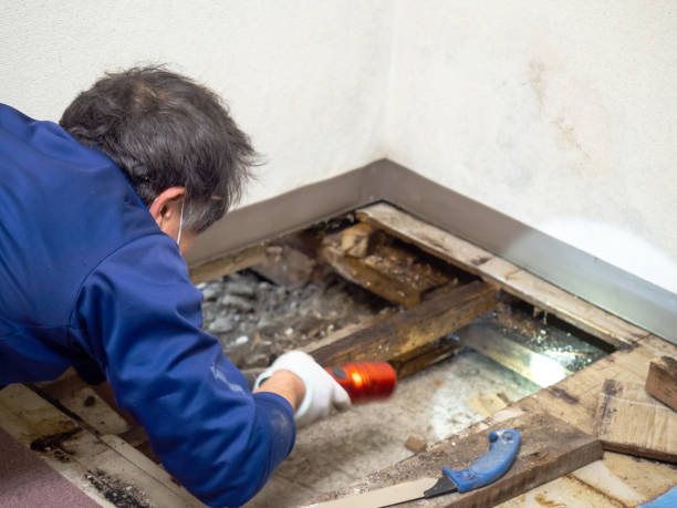 Best Preventive Mold Services in Chowchilla, CA