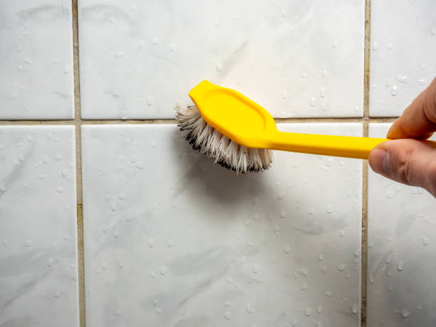 Best Insurance-Related Mold Remediation in Chowchilla, CA