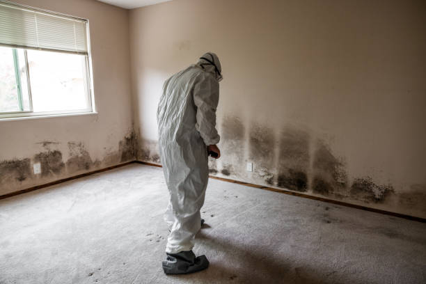Best Post-Remediation Services in Chowchilla, CA
