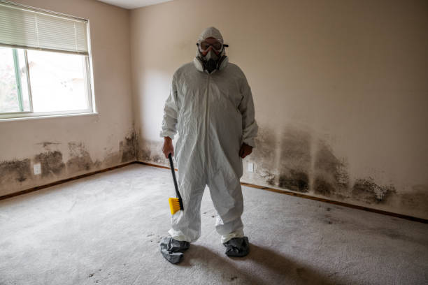 Best Post-Flood Mold Remediation in Chowchilla, CA